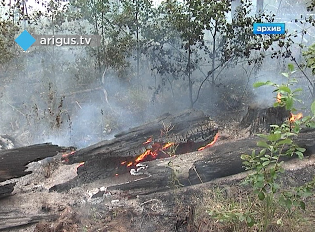 Лесозаготовителей обяжут участвовать в тушении пожаров в Бурятии