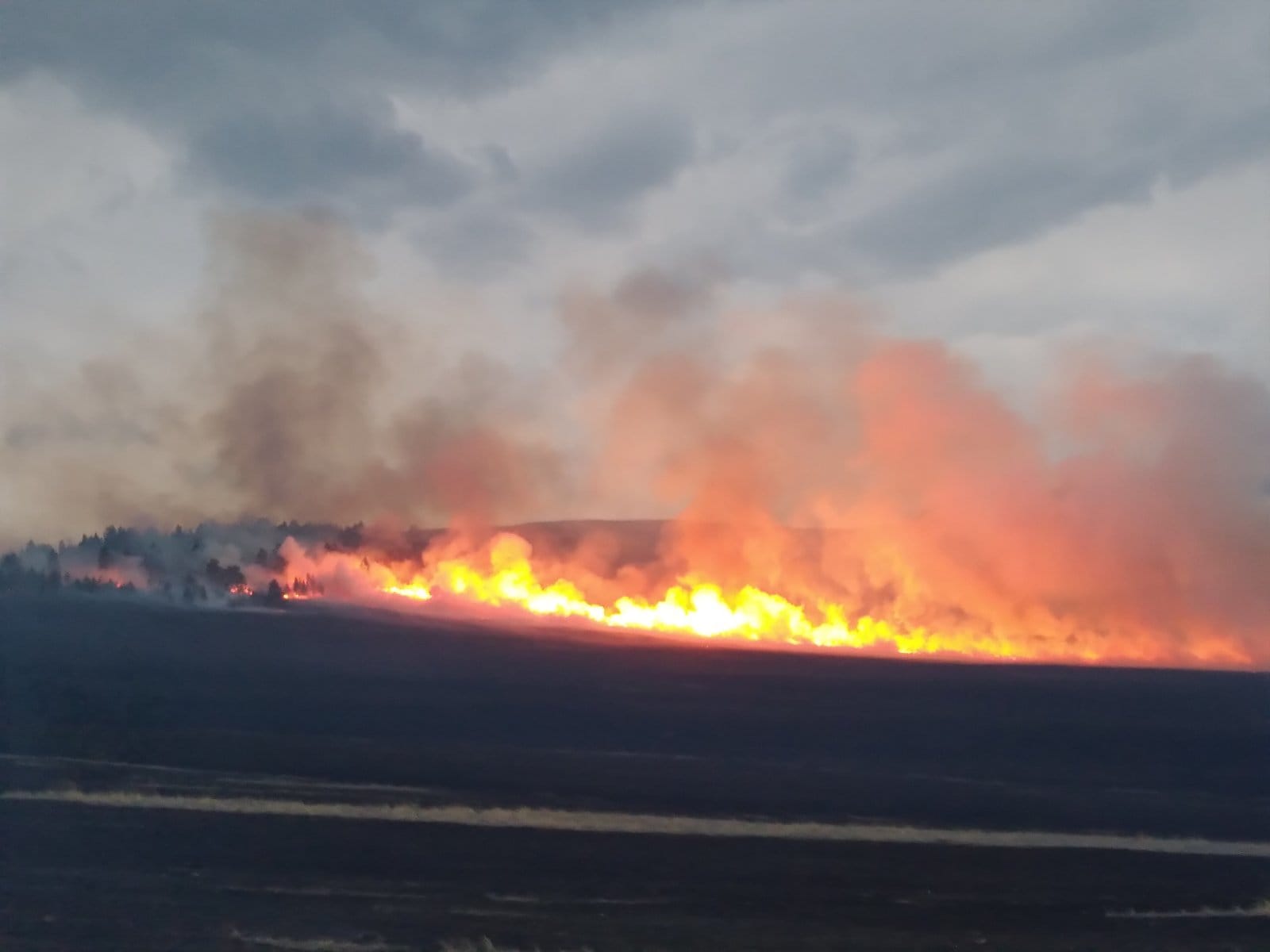 Пожар в бурятии. Пожары. Пожар в лесу. Большой пожар. Горящий лес Бурятия.