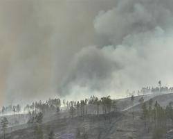 В Бурятии продолжают гореть леса, а вместе с ними и деньги
