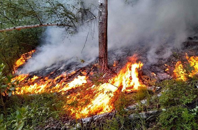 Более 400 человек сражались с лесными пожарами в Бурятии