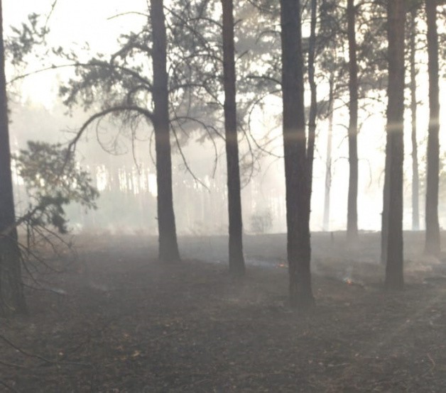 В Бурятии тушили 11 лесных пожаров