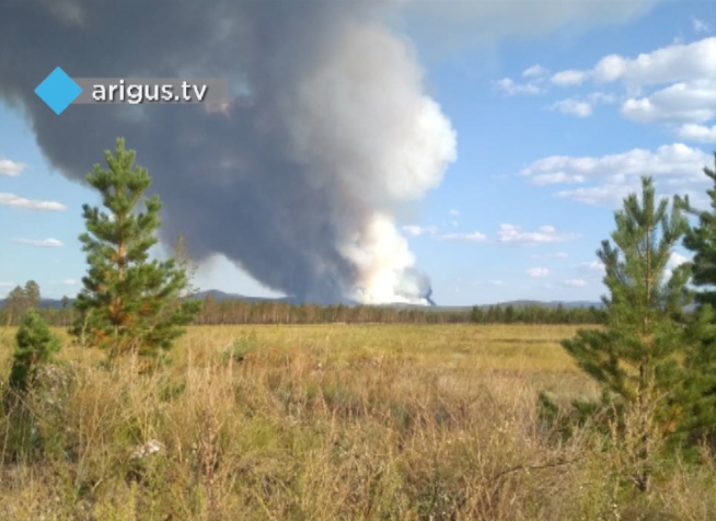 «Дым стоит столбом»: Жителей Бурятии снова беспокоят лесные пожары