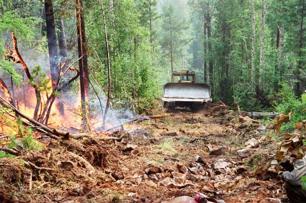 РАЛХ: Более 93% лесных пожаров в Бурятии тушат в первые сутки
