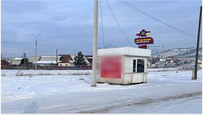 Бездомных собак, напавших на девушку в Бурятии, до сих пор не отловили