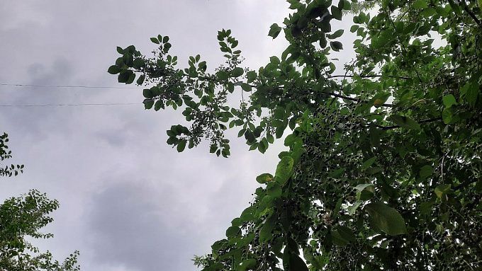 В Улан-Удэ ожидается дождь