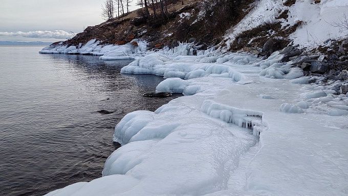 «Затерянный мир» ДНК-вирусов нашли ученые в планктоне на Байкале