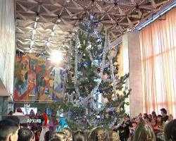МЧС напоминает жителям Бурятии, где должна стоять новогодняя елка, а где можно запускать фейерверки