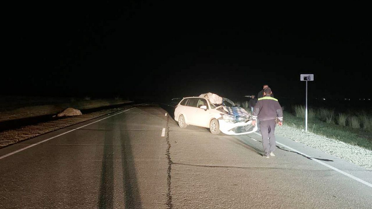 Два человека пострадали в ДТП с коровой на трассе в Бурятии