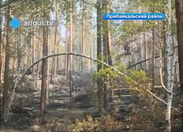 В Бурятии в выходные потушены пожары почти на 30 тысячах гектаров