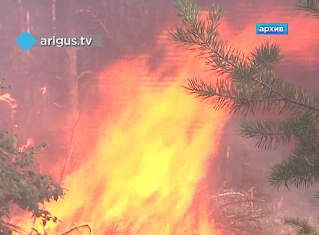 Ситуация с лесными пожарами усугубилась в пригороде Улан-Удэ