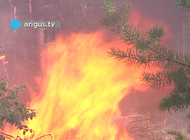 В Бурятии за сутки обнаружено восемь очагов лесных пожаров