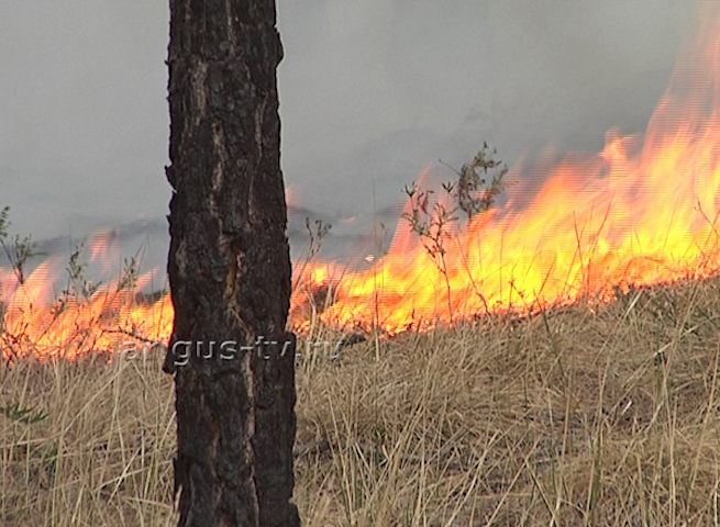 В Бурятии из-за пала травы едва не сгорели жилые дома 