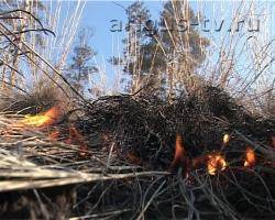 Жара дала о себе знать – в Бурятии вновь горят леса