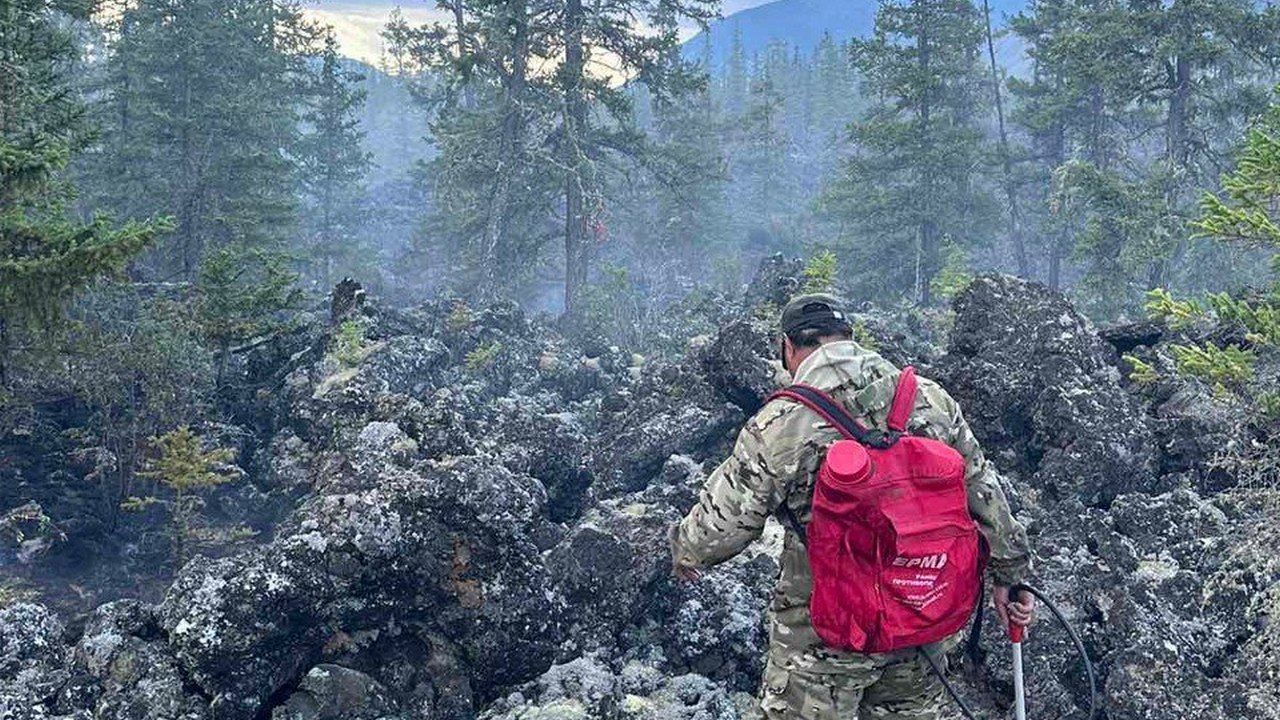 В Бурятии сухая гроза дважды подожгла лес