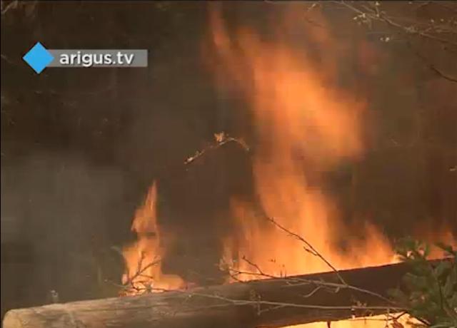 За искажение данных о количестве лесных пожаров привлечены виновные в Хоринском районе