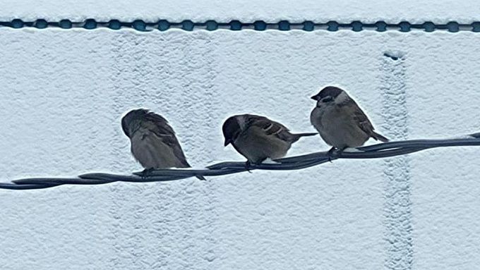 Морозы до -43 ударят по Бурятии