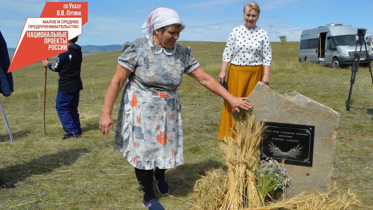 Сельское хозяйство бурятии. День поля фото. Мировые Бичурский район. Поля в Бурятии фото август 2022. День поля 2022 Емельяновский район.