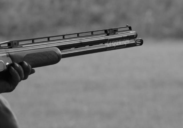 В Улан-Удэ сообщают о новой волне догхантеров и их «сговоре» с дворниками, которые «травят собак»