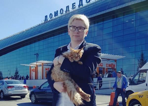 Московский блогер спасает еще одного травмированного кота из Бурятии