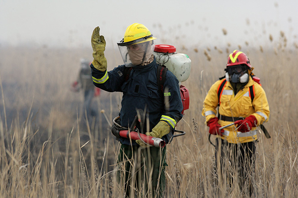 Добровольцы Гринпис направляются в Прибайкалье на тушение пожаров