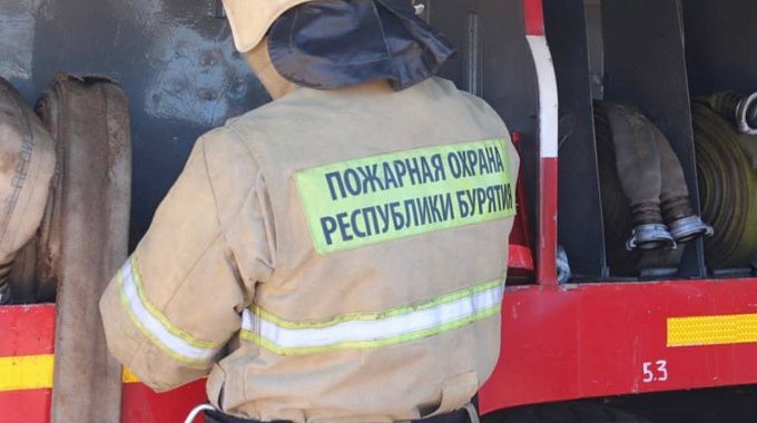 В Бурятии на пожаре погибли домашние животные