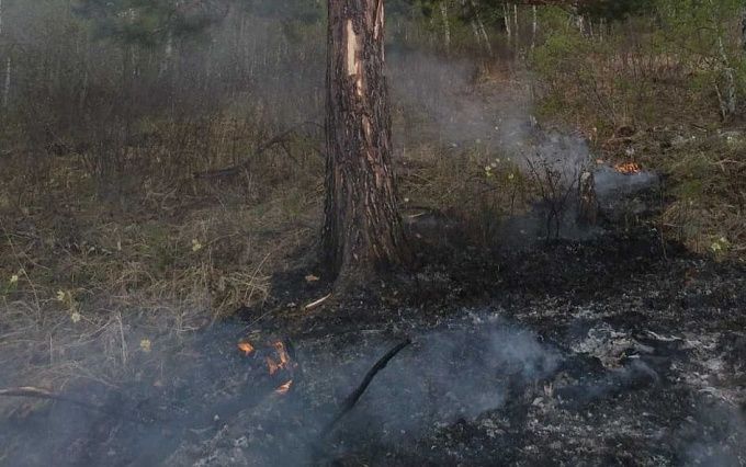 В Бурятии из-за гроз вновь возникли лесные пожары