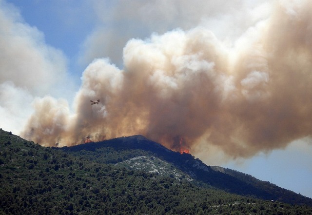 В четырех районах Бурятии горят леса