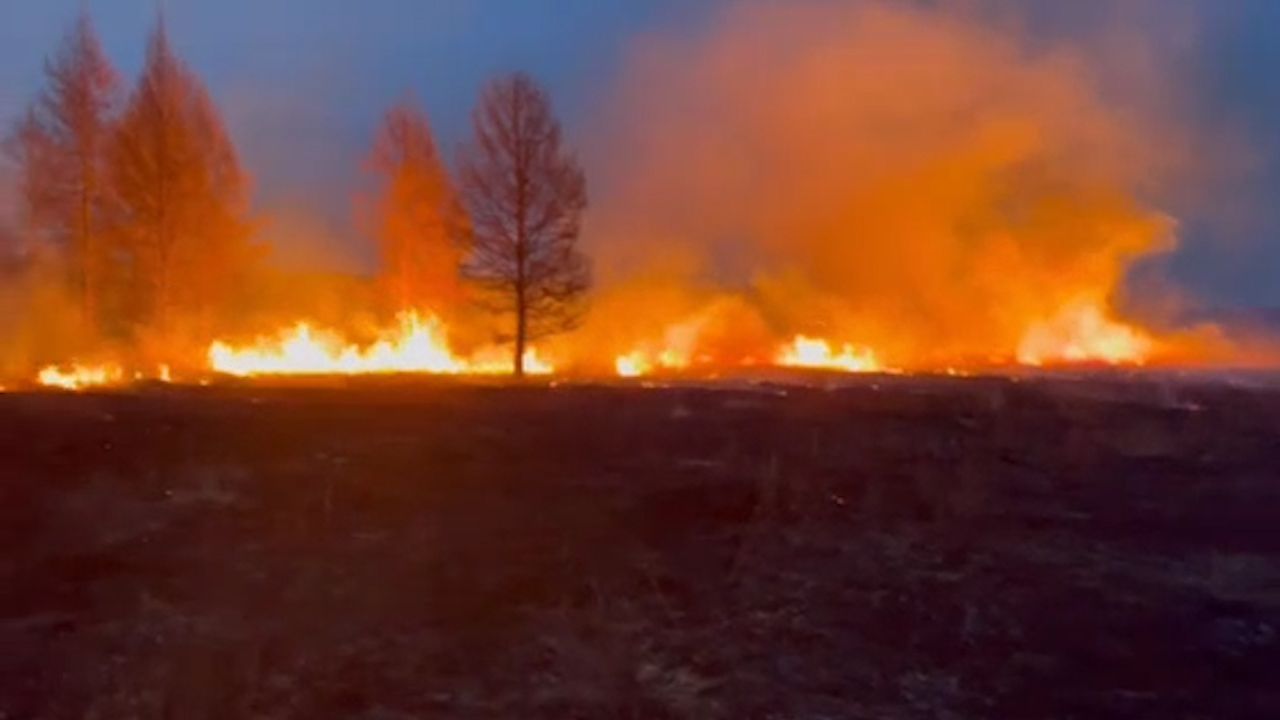 В Бурятии сгорело почти 800 гектаров леса. С огнем борются сотни человек