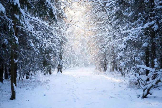 Аномальные холода задержатся в Бурятии до конца недели