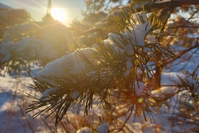 В Улан-Удэ ожидается снежная и ветреная погода