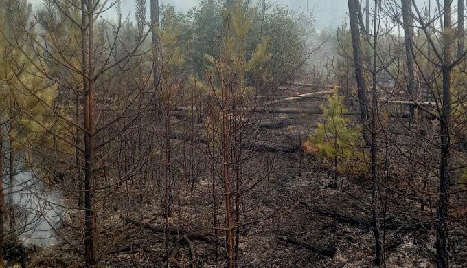 В Бурятии два дня тушили пожар на 100 гектарах леса