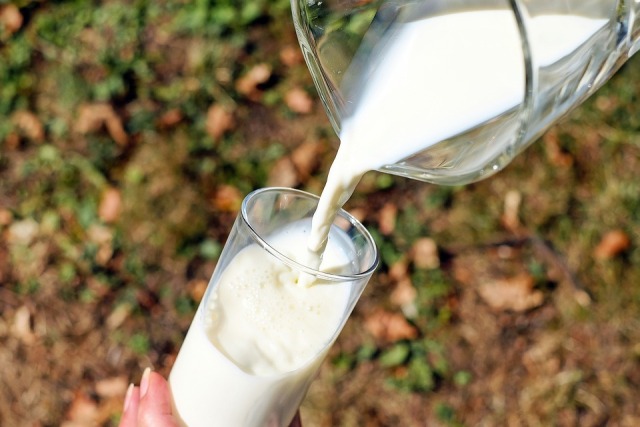 «Молоко Бурятии» получило госгарантии от правительства Бурятии