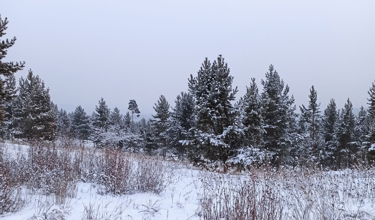 Снег в бурятии сегодня фото