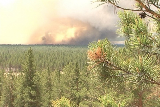 В лесах Бурятии тушат два пожара на площади 9,5 га