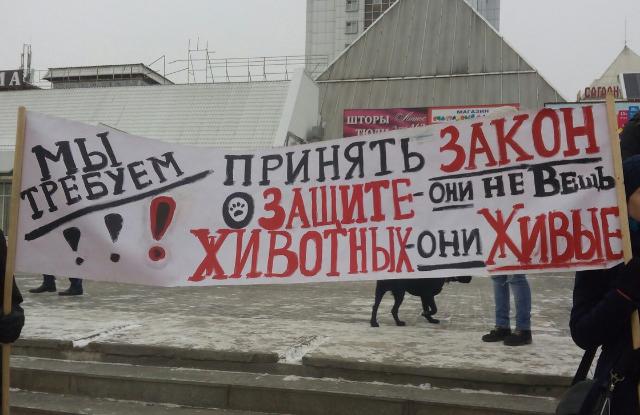 Улан-Удэ присоединился к всероссийскому митингу против хабаровских живодёрок