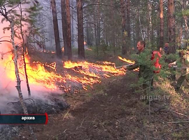 В Бурятии вновь горят леса