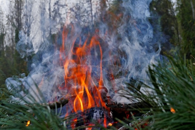 В Бурятии действует один лесной пожар