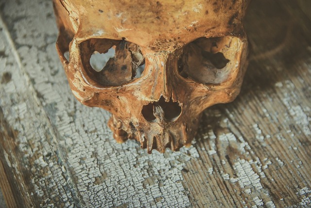 Житель Бурятии случайно наткнулся на человеческий череп (ФОТО 18+)