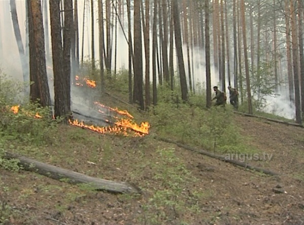 В Бурятии за сутки ликвидировано пять очагов природных пожаров