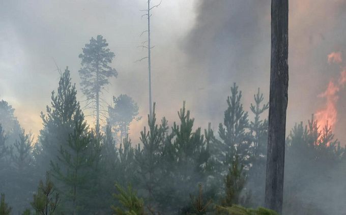 В Бурятии лесной пожар вспыхнул из-за сухой грозы 