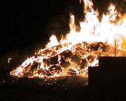 Бессонная ночь в поселке Матросова: из-за крупного пожара на складе древесины была объявлена эвакуация