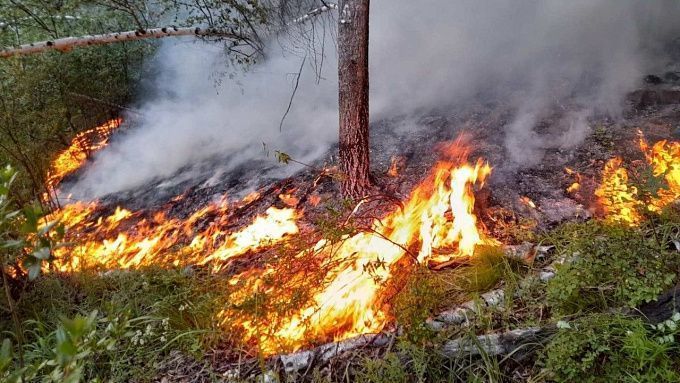В Бурятии вспыхнули два лесных пожара