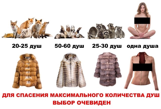 Иркутская модель создала коллекцию провокационной одежды для пропаганды защиты животных