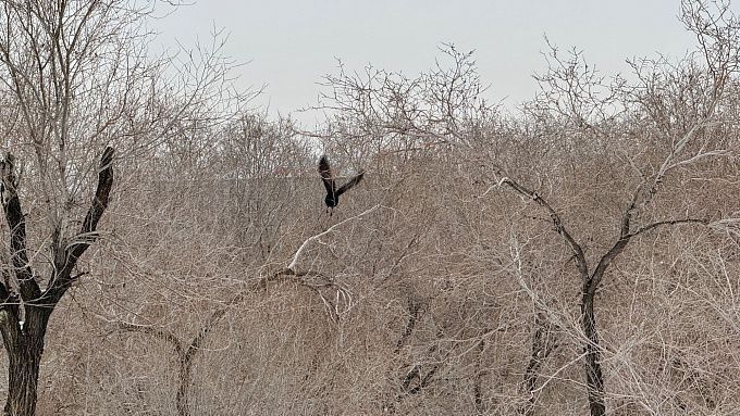 Апрель в Бурятии начнется со снега и ветра