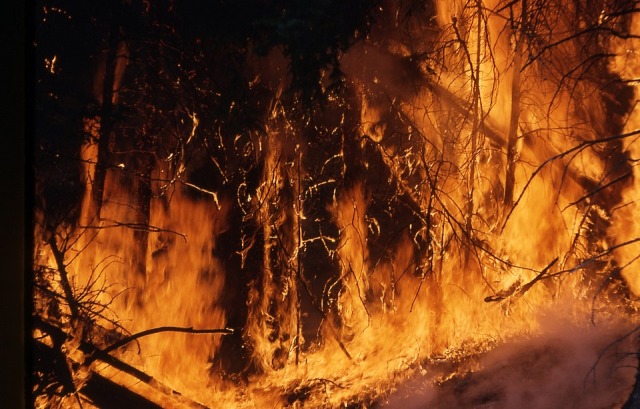 В Бурятии тушат десять лесных пожаров 