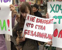 Всероссийскую акцию против жестокости поддержали в Улан-Удэ