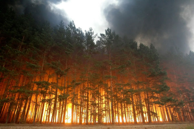 В Бурятии третьи сутки горят 4 тысячи га леса