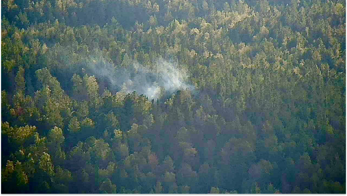 Суд обязал лесхоз в Бурятии закупить противопожарное оборудование
