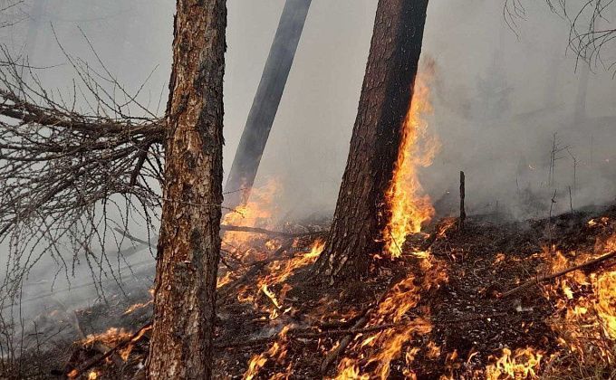 В Бурятии за сутки вспыхнули три лесных пожара