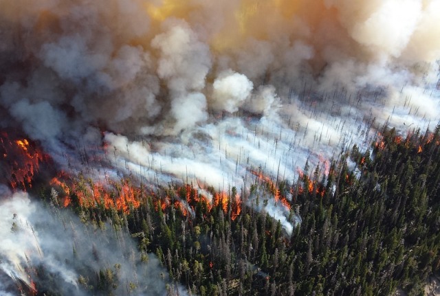 В Бурятии зарегистрировано 24 лесных пожара